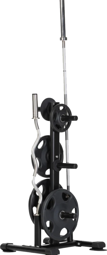 olympic weight tree with bar storage holds two bars