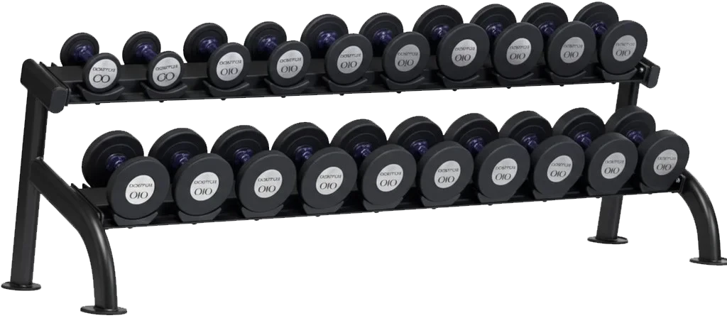 2 tier tray dumbbell rack