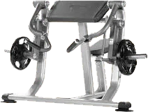 biceps curl