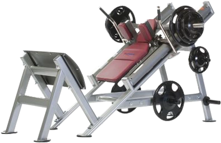 hack squat