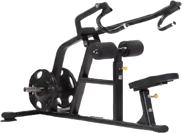 seated dip