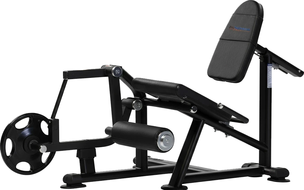 leg extension