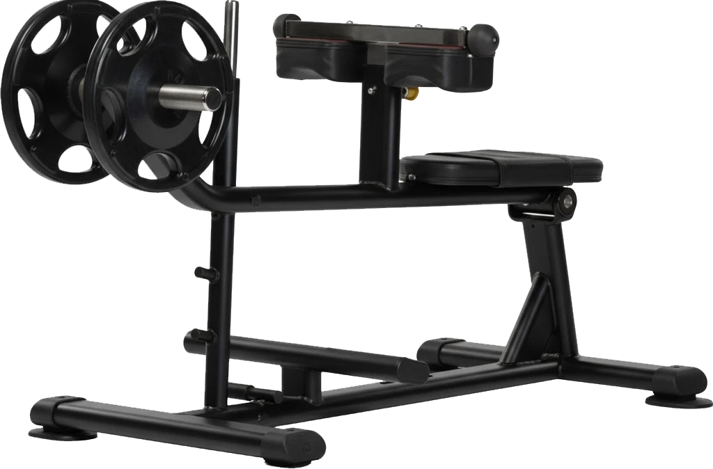 seated calf