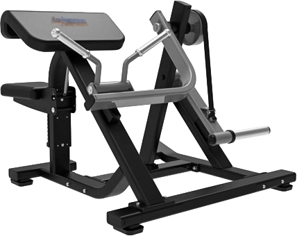 ppl 913 biceps curl