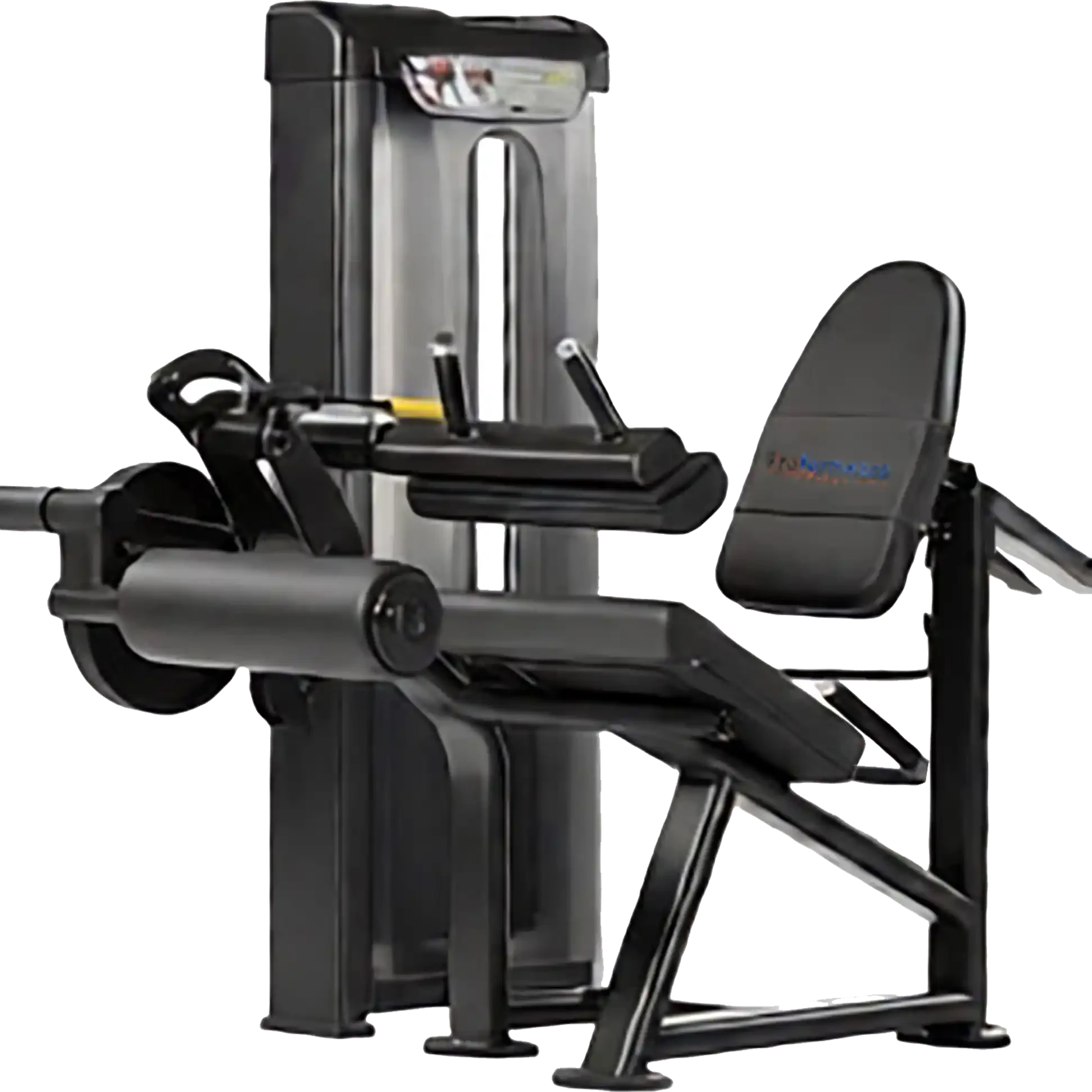 seated leg curl